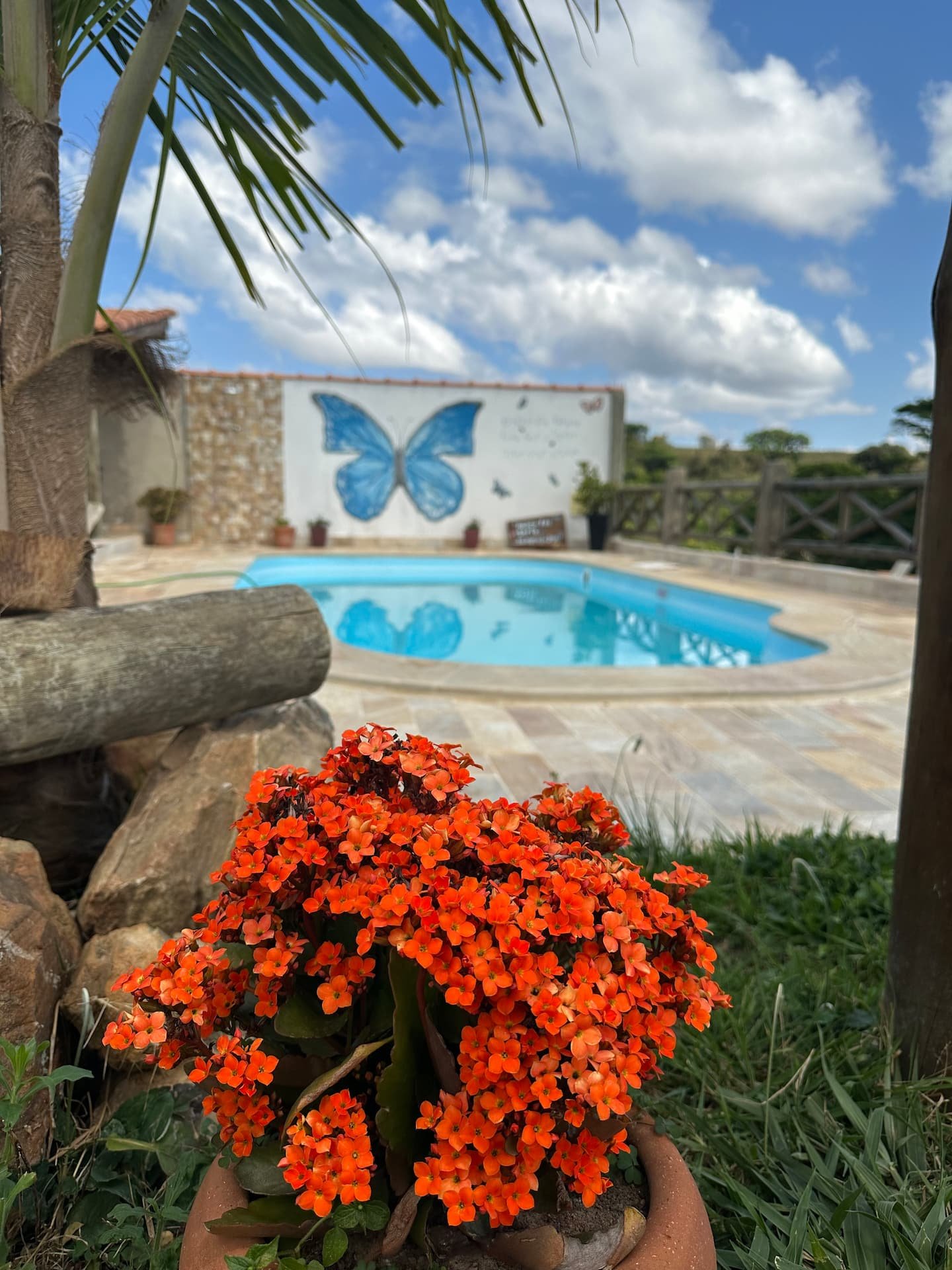 Flores vermelhas e piscina da casa grande Borboleta Azul